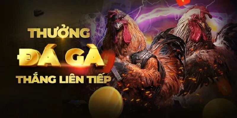 Hàng loạt các sự kiện khuyến mãi hấp dẫn
