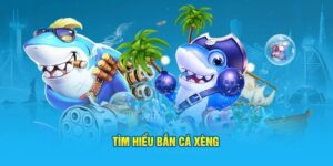cach-choi-ban-ca-xeng-anh-dai-dien